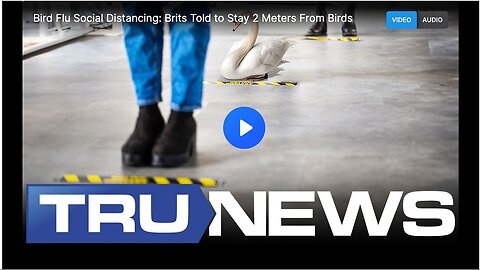 "UK Citizens Advised to Maintain 2 Meters Distance from Birds Amid Bird Flu Concerns"