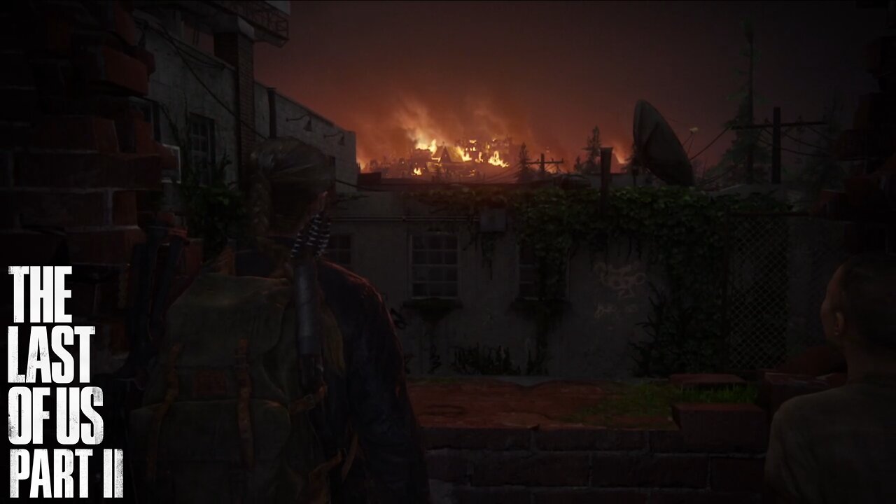 "Utter Chaos" The Last of Us 2 (19)