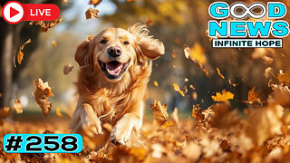 Cat Returns After 400 Days + Bikers Feed Thousands ✨ 🐱 | GOOD NEWS – Infinite Hope #258