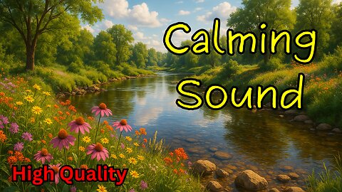 Gentle Rain White Noise (Black Screen) | Soothing Rainfall Ambience for Sleep & Calm