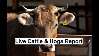 Livestock Chatter Preview