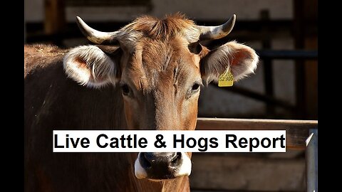 Livestock Chatter Preview
