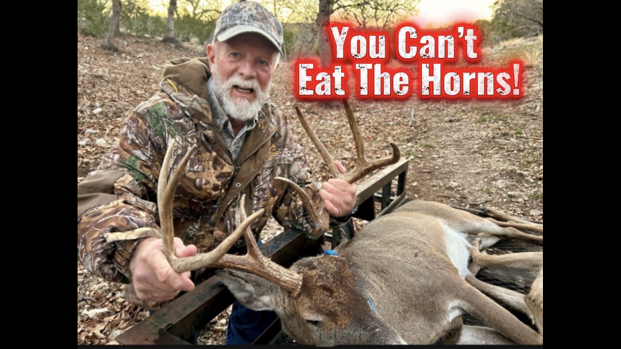 You Can’t Eat The Horns!