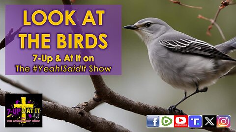 WORD OF THE DAY: MATTHEW 6:26 - LOOK AT THE BIRDS