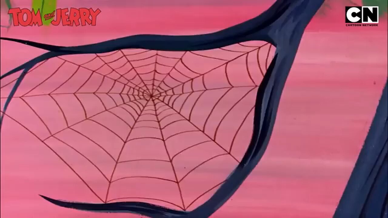 Tom and Jerry funny videos