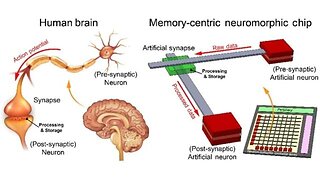 Biophotonics & Neurophotonics Live 1 / Sabrina Wallace (ENGR.) / [Neuroscience, Transhumanism]