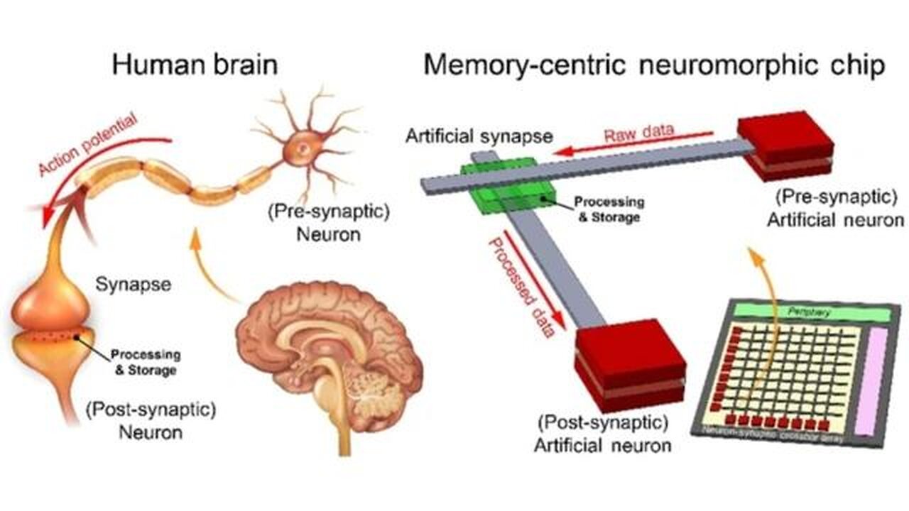 Biophotonics & Neurophotonics Live 1 / Sabrina Wallace (ENGR.) / [Neuroscience, Transhumanism]