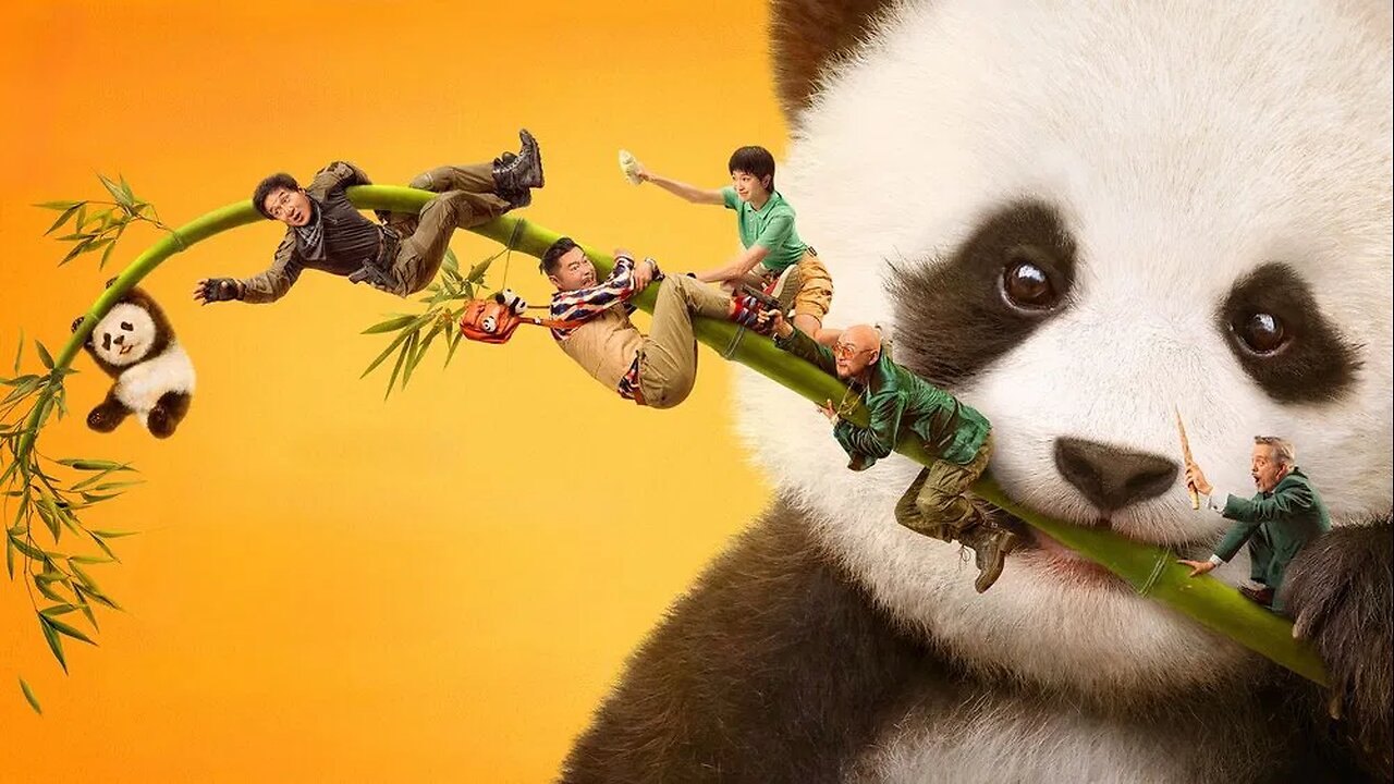 Panda Plan 2025