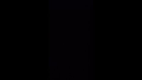 Christmas with the Ginzos