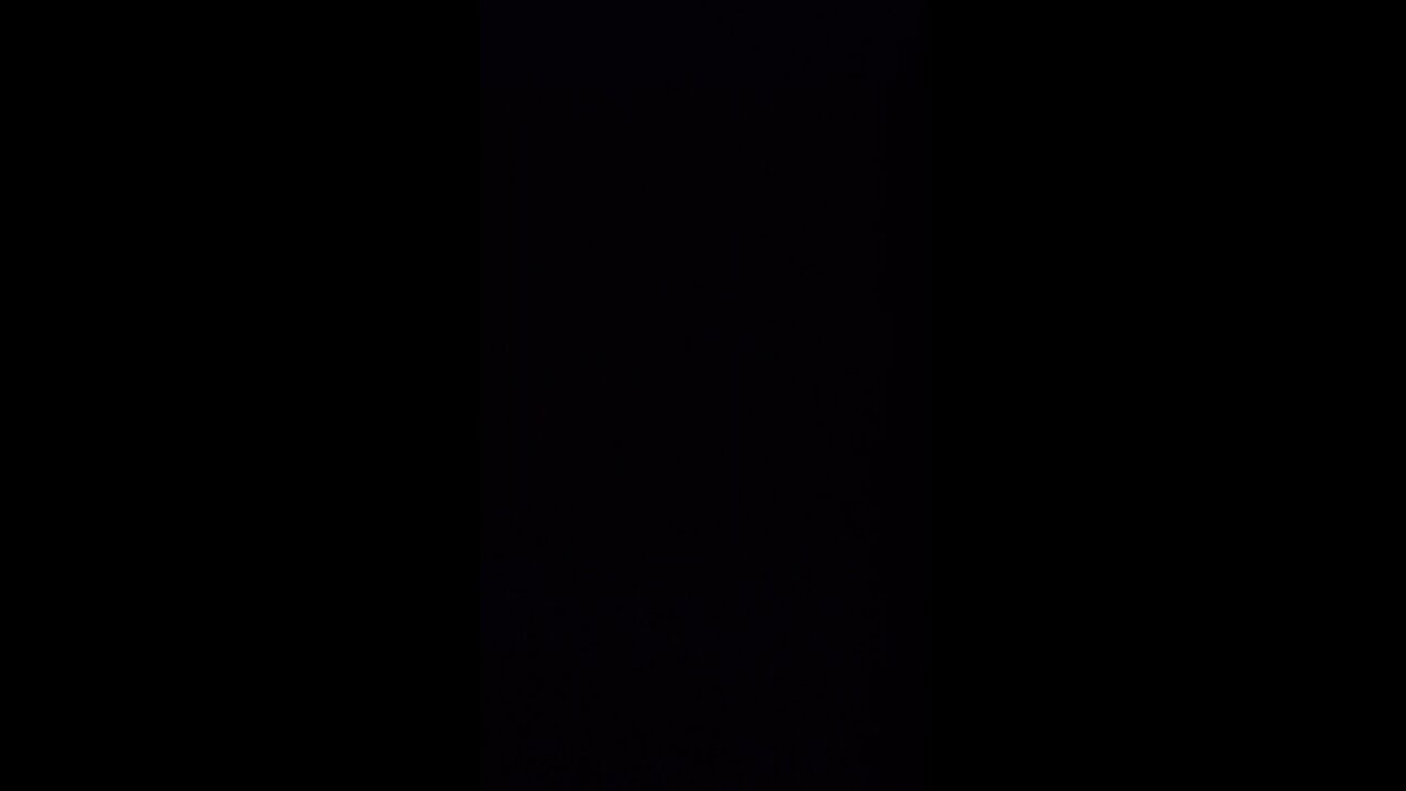 Christmas with the Ginzos