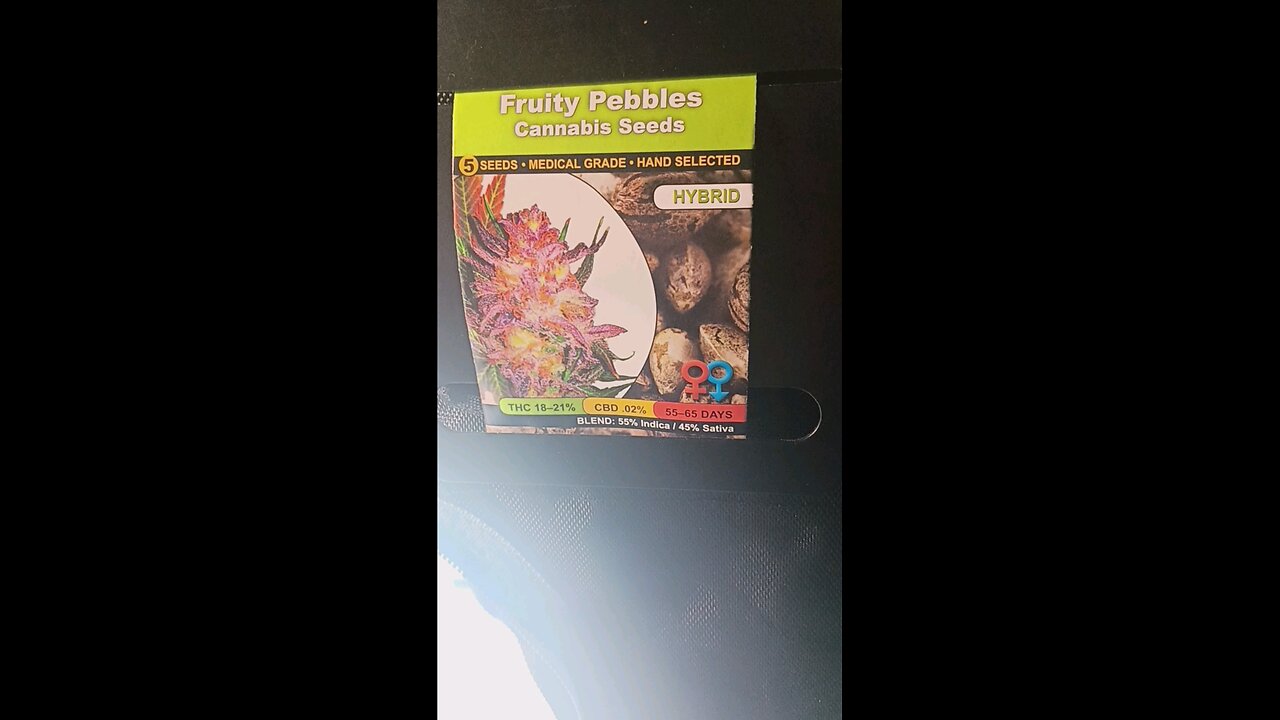 seed pop yet?