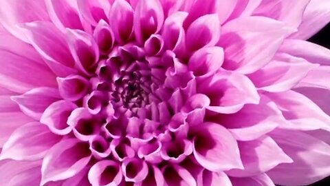 FINDING THE WILL OF GOD - DAILY DEVOTIONAL ❤️