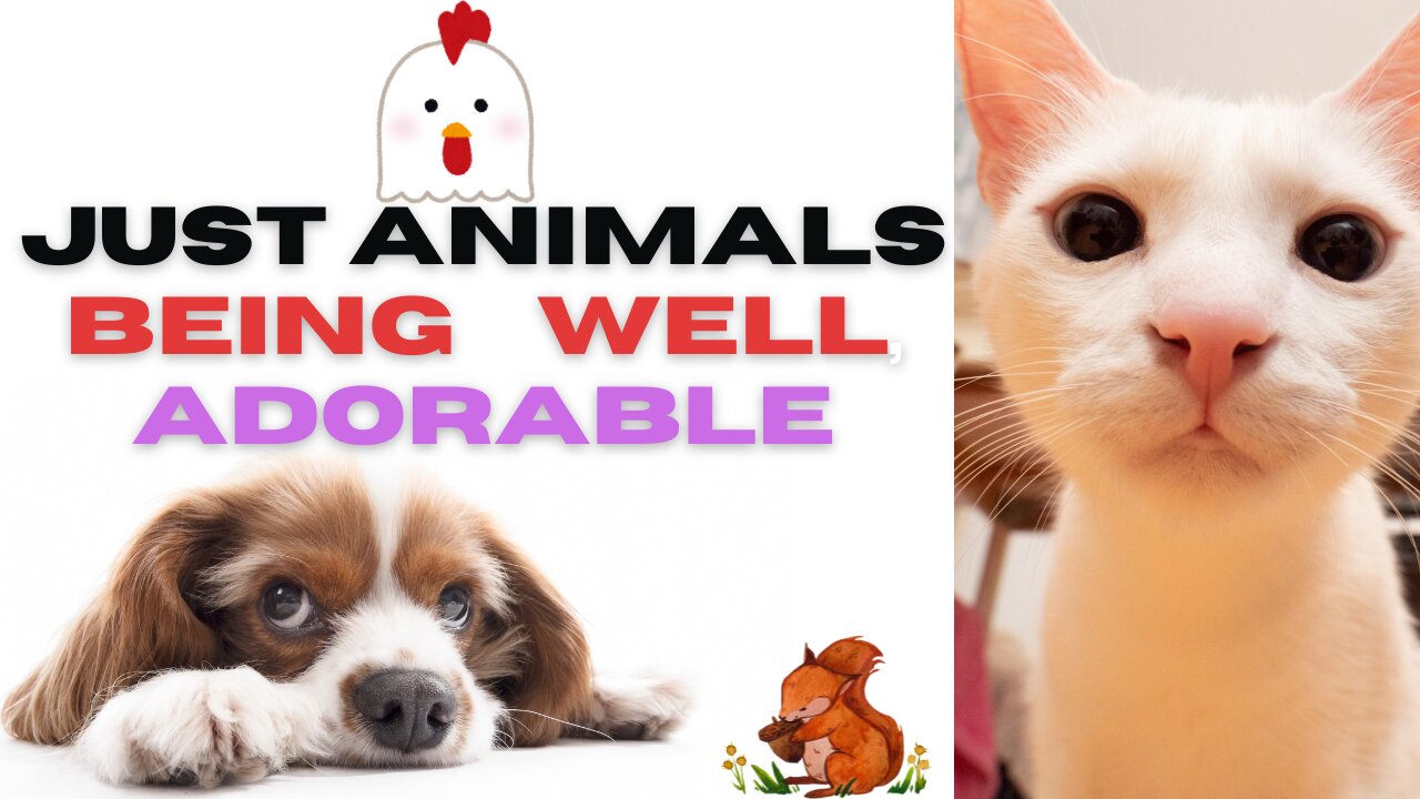 Just Animals Being… Well, Adorable