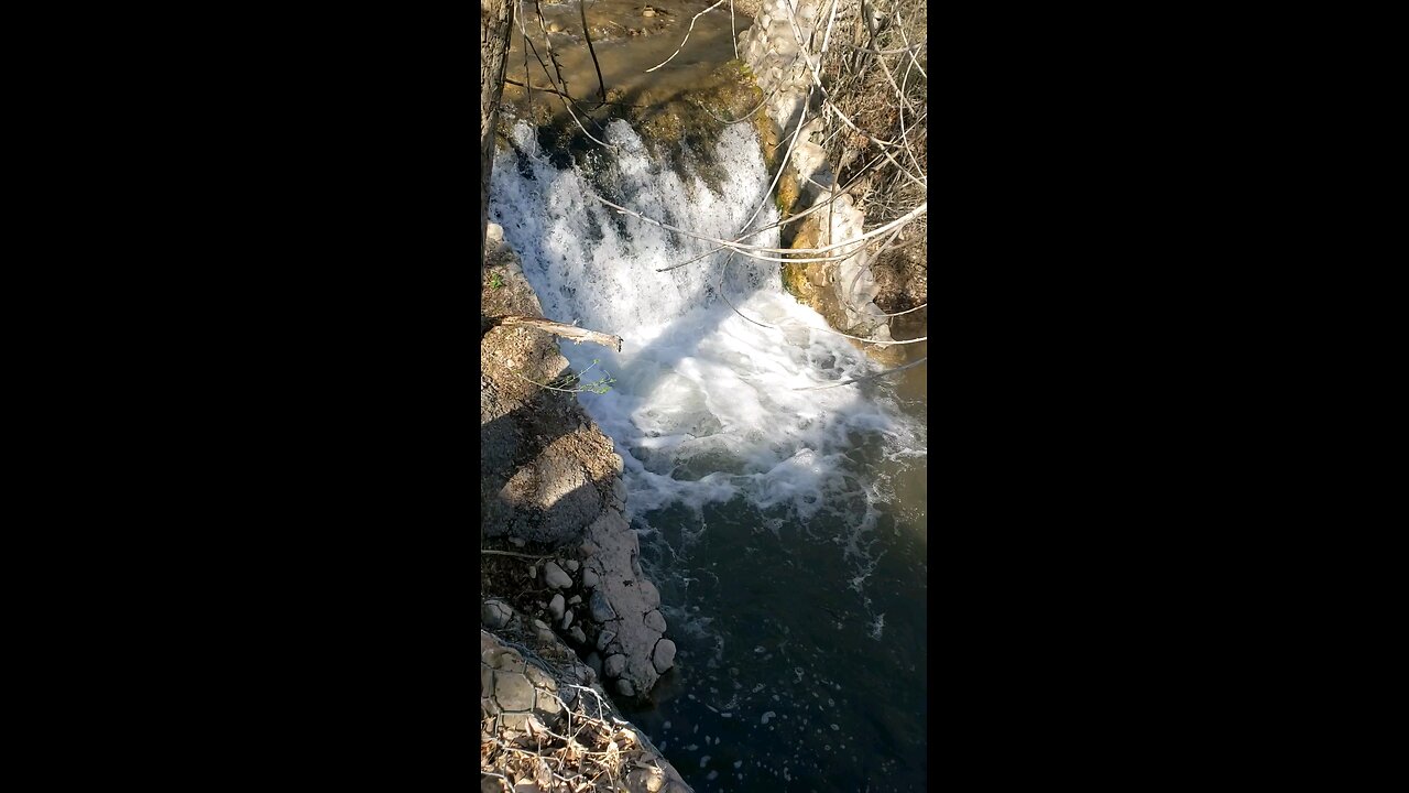 Your mom every time she sees me .