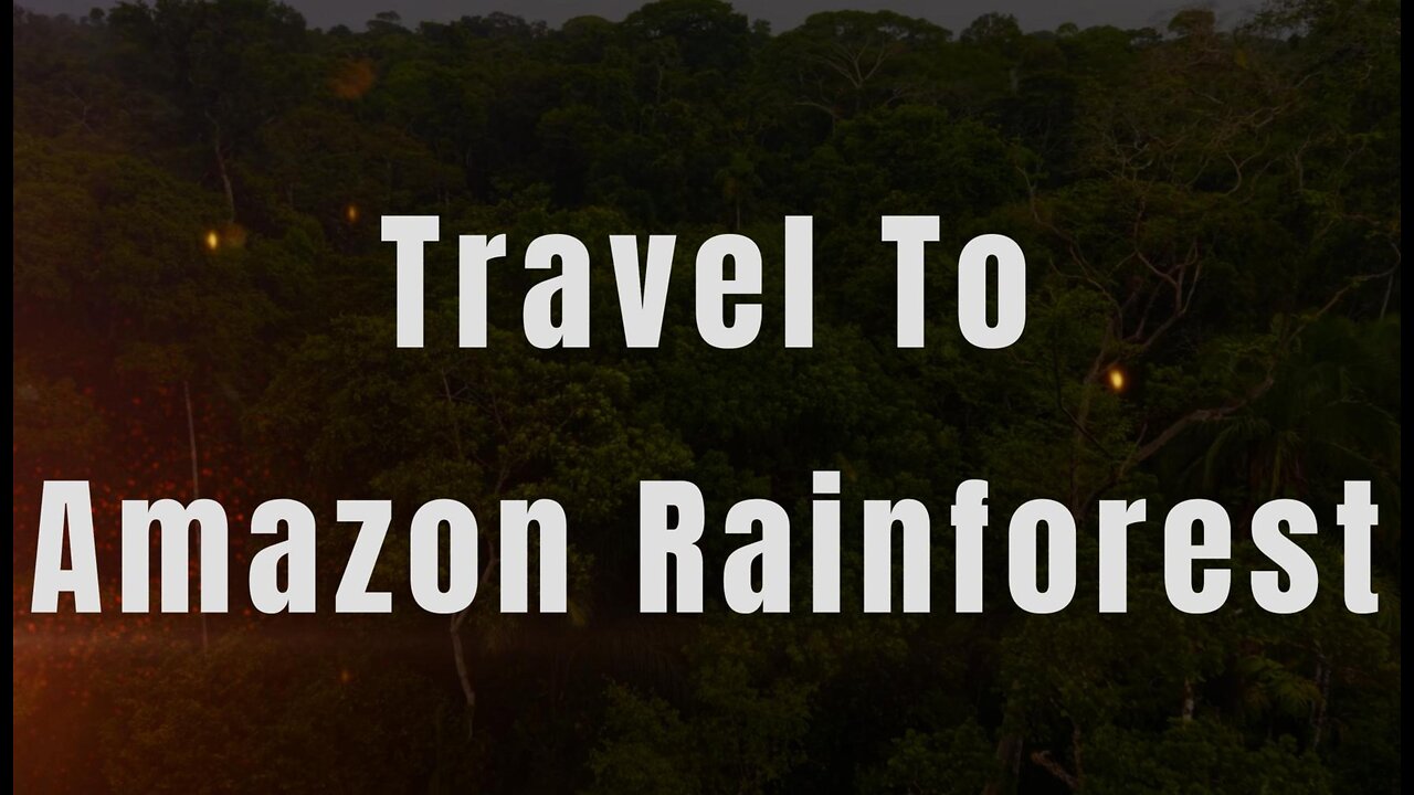 Travel To Amazon Rainforest