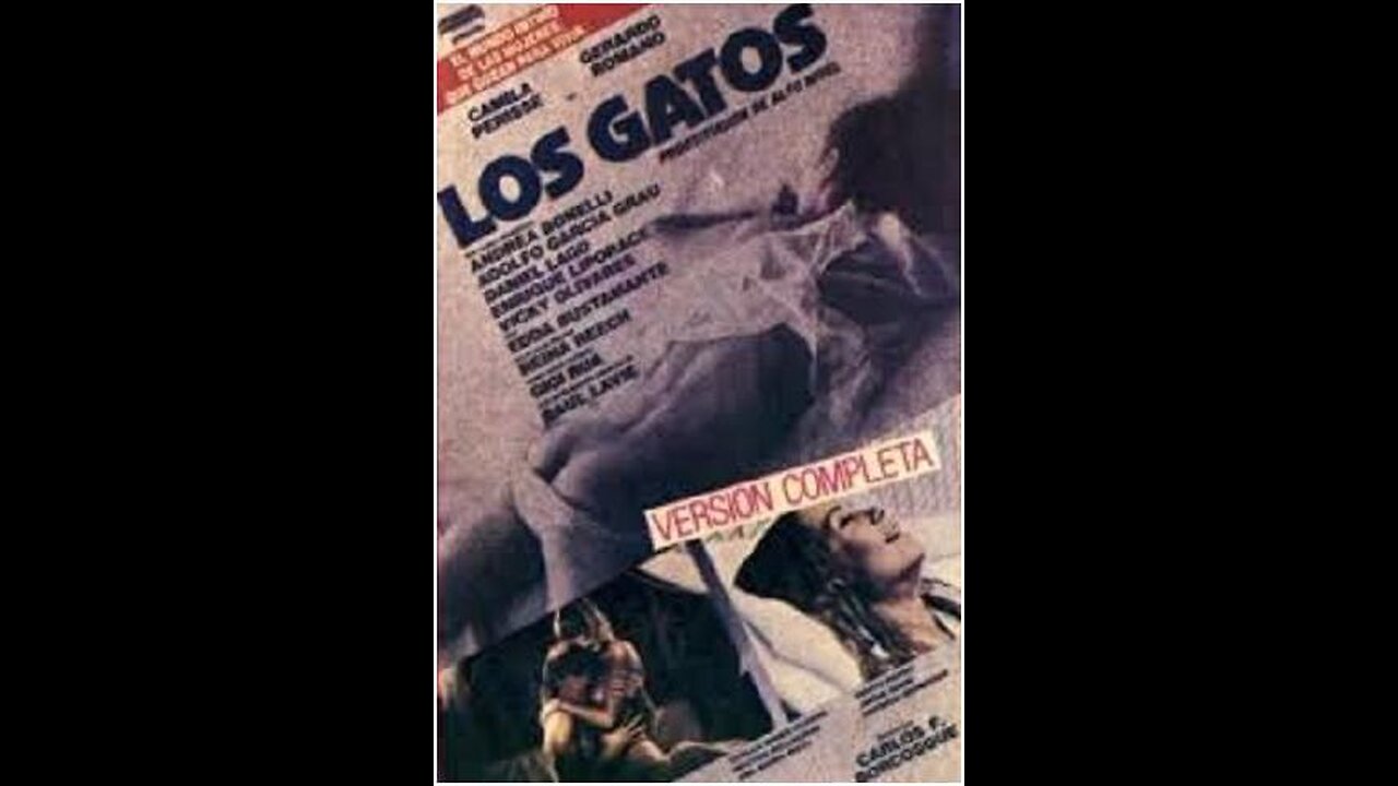The Cats (High-Class Prostitution)