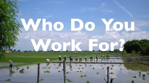 Who Do You Work For? Colossians 3: 23-24