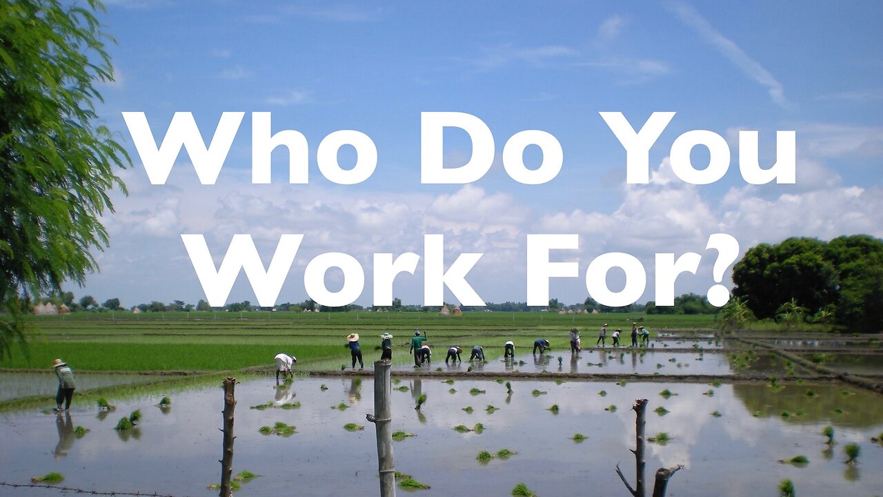 Who Do You Work For? Colossians 3: 23-24