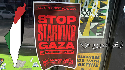 Stop Starving Gaza Demo - Bryant Park - New York City - 4K