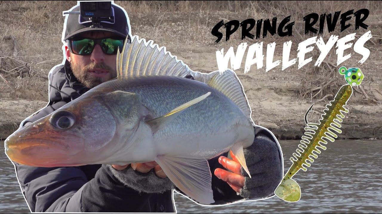 BEST Method for Catching a TON of SPRING WALLEYES!