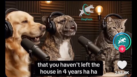 Dog & Cat podcast