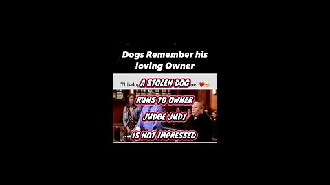 JUDGE JUDY RETURNS STOLEN DOG