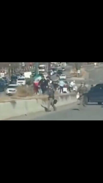 ICE Runs up On Illegals Protesting on a Freeway