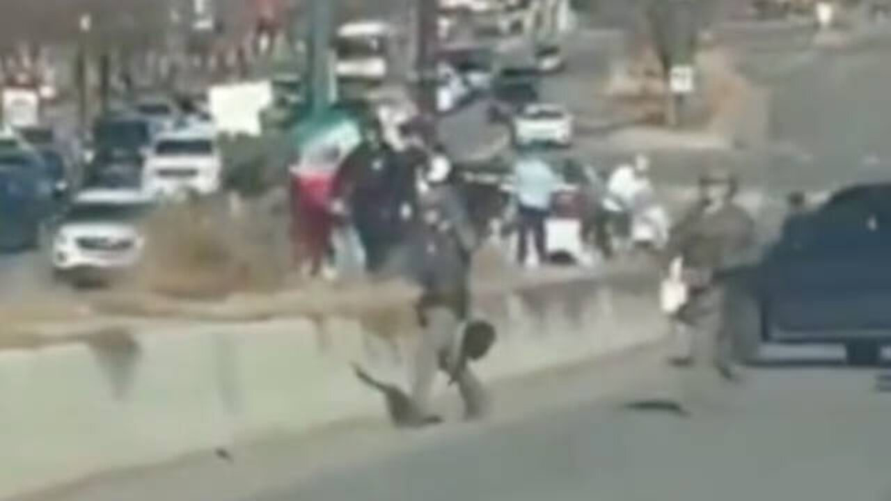 ICE Runs up On Illegals Protesting on a Freeway
