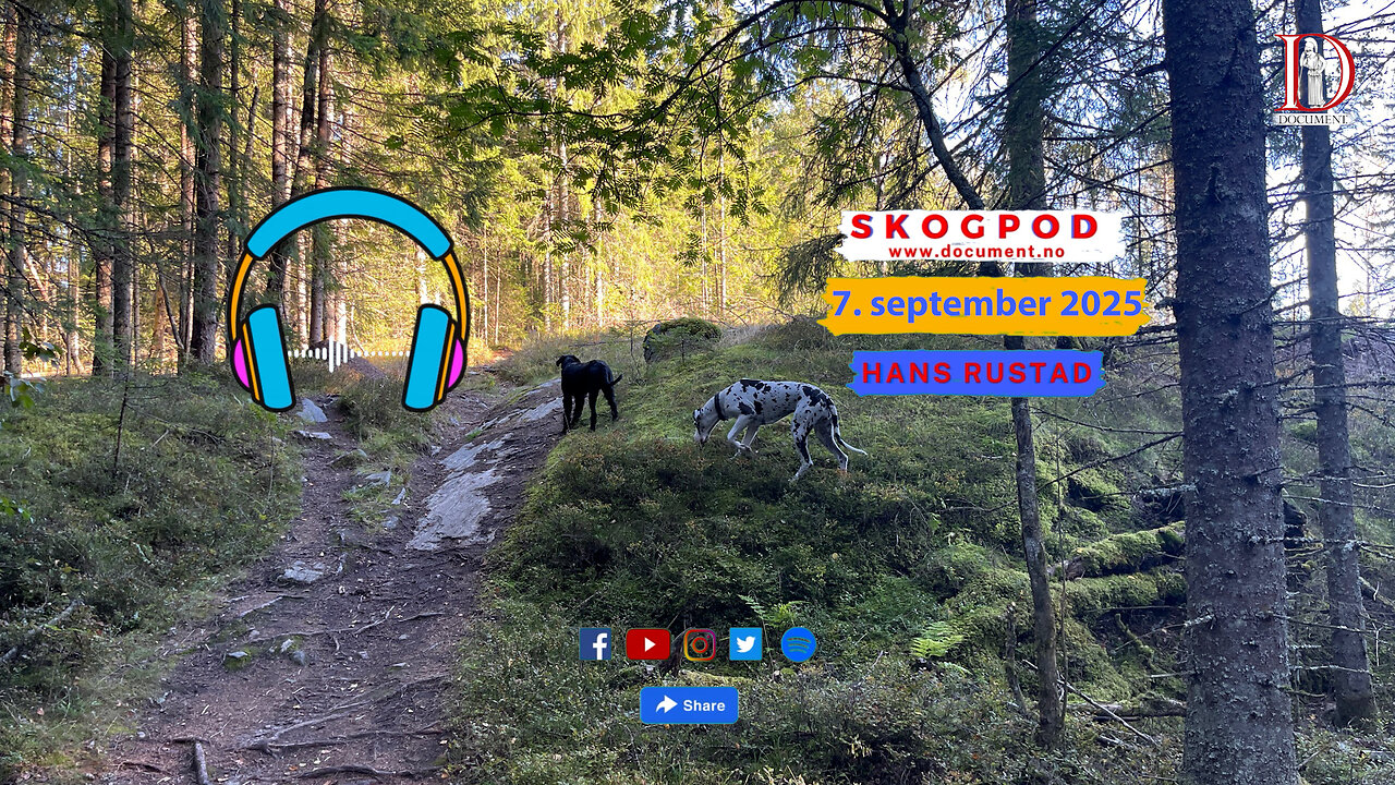 Skogpod 7. september 2025