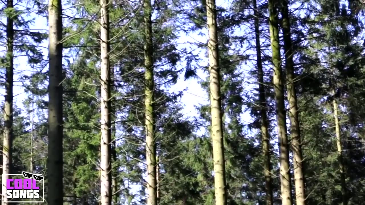 Kazoo Man - Fresh All Day Remix - Formerly Cool Songs