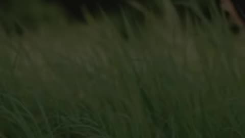 🙏✨ Saturday's Prayer | Embrace God's Blessings & Grace | InGodWeTrustDaily