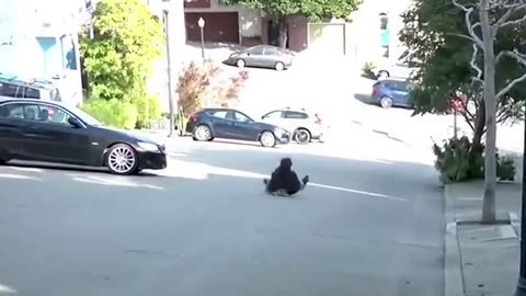 😂🤙 You Won't Believe Why Streetluge People Need Me! | FunFM