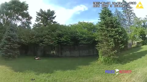 Bodycam Video Shows Suspect Fire at Michigan Deputy Before Being Shot