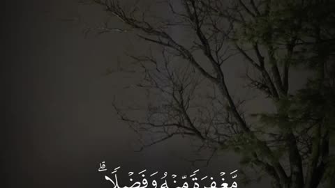 Jazakallah ♥️✨🕊️