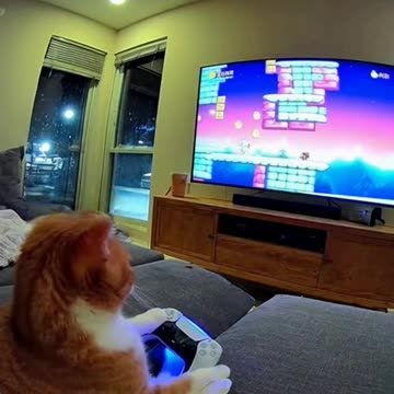 Cat plays Super Mario on Playstation5