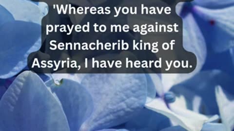 Journey of faith and spiritual growth 2 Kings 19:20 Daily Bible Verse