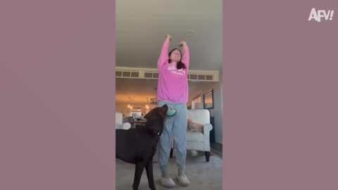 Workout Fails You Don't Want to Repeat! 😂 Funny Gym Fails