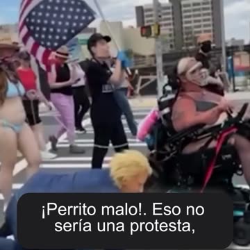 Democratic protesters make fools of themselves on the streets, again