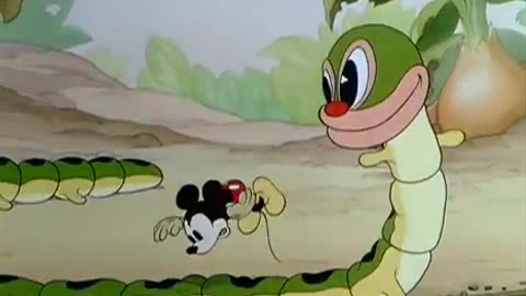 Mickey Mouse Garden