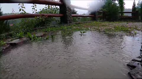 Goran Tanevski - Wicked Rain