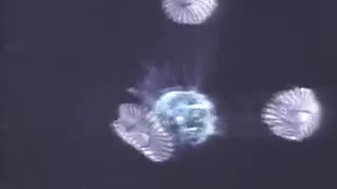 Neil Armstrong - First Moon Landing 1969