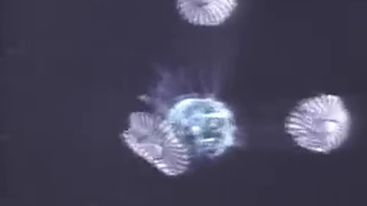 Neil Armstrong - First Moon Landing 1969