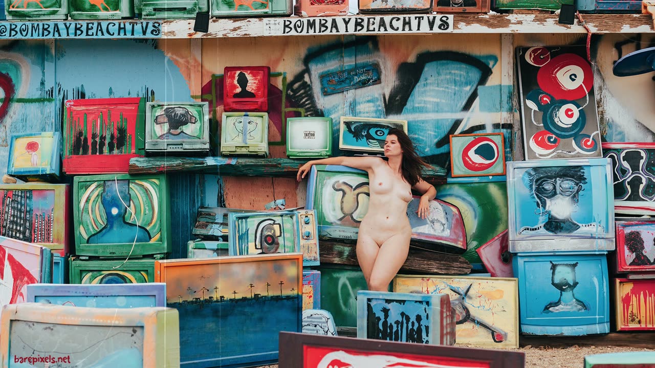 Bombay Beach TVs