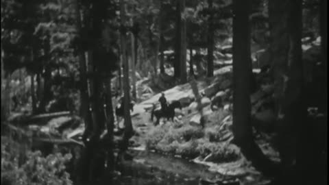 Trees For Tomorrow, 1941
