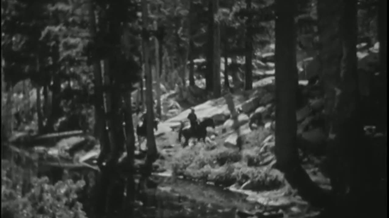 Trees For Tomorrow, 1941