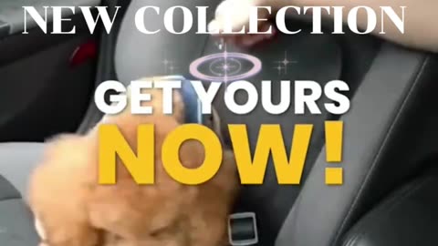 Adjustable Pet Car Seat Belt | Safe & Secure Travel for Dogs & Cats