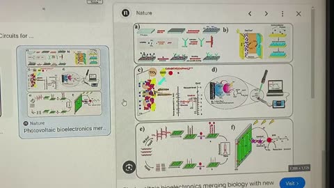 S/W Intro to Biophotonic Routing Protocols for Nanocommunication Networks
