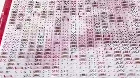 Incredible creativity