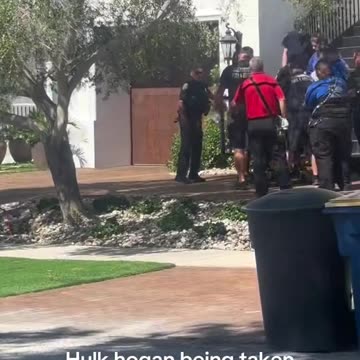 Hulk being removed from his home this morning.