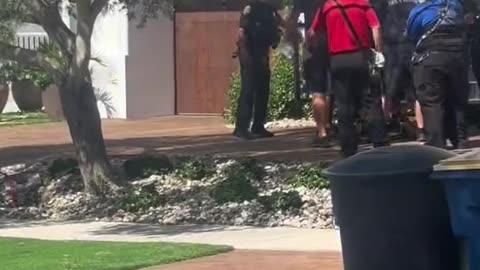 Hulk being removed from his home this morning.